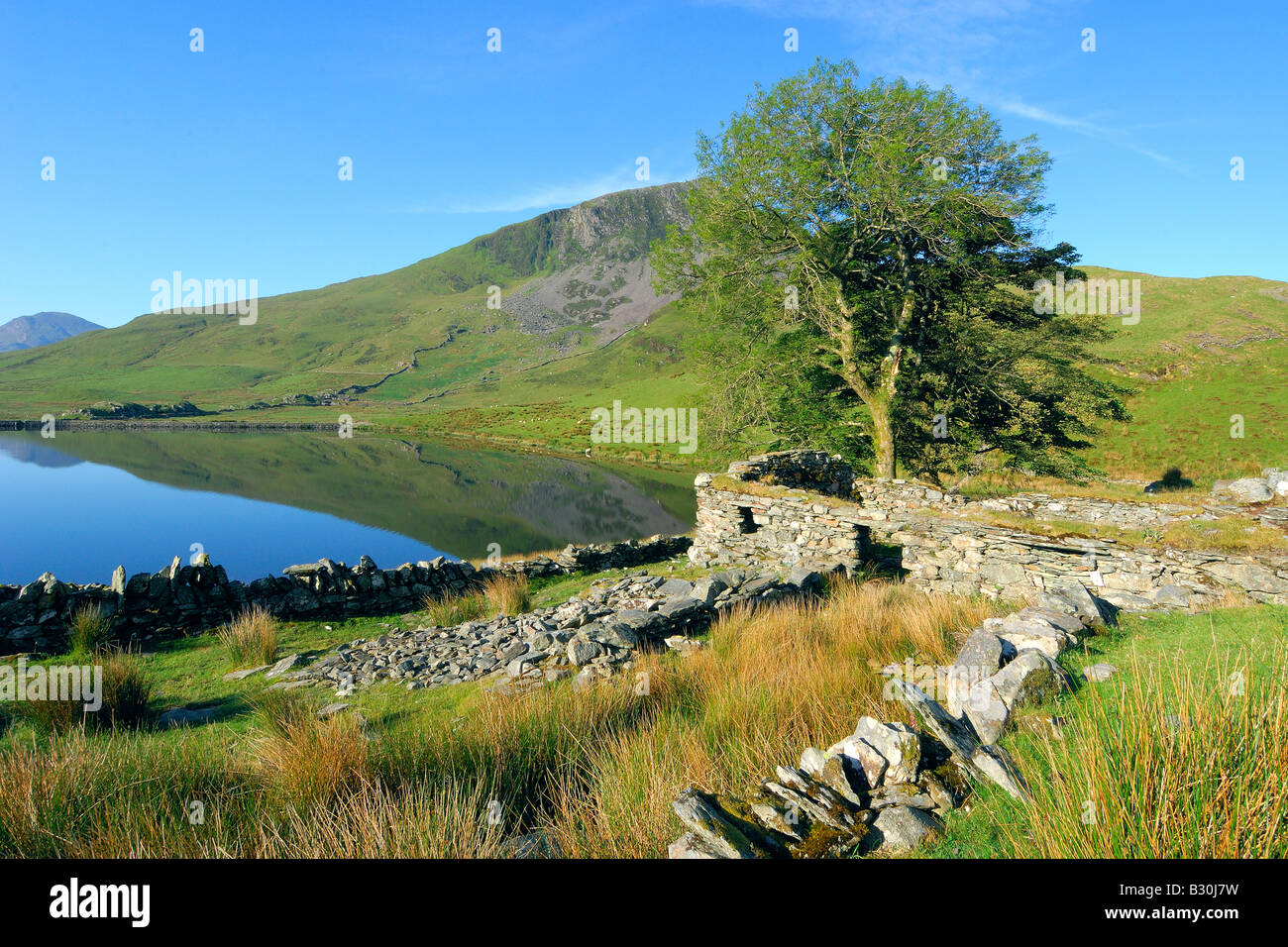 Una hermosa mañana en Llyn Dywarchen calma en el parque nacional de Snowdonia Gales del Norte Foto de stock