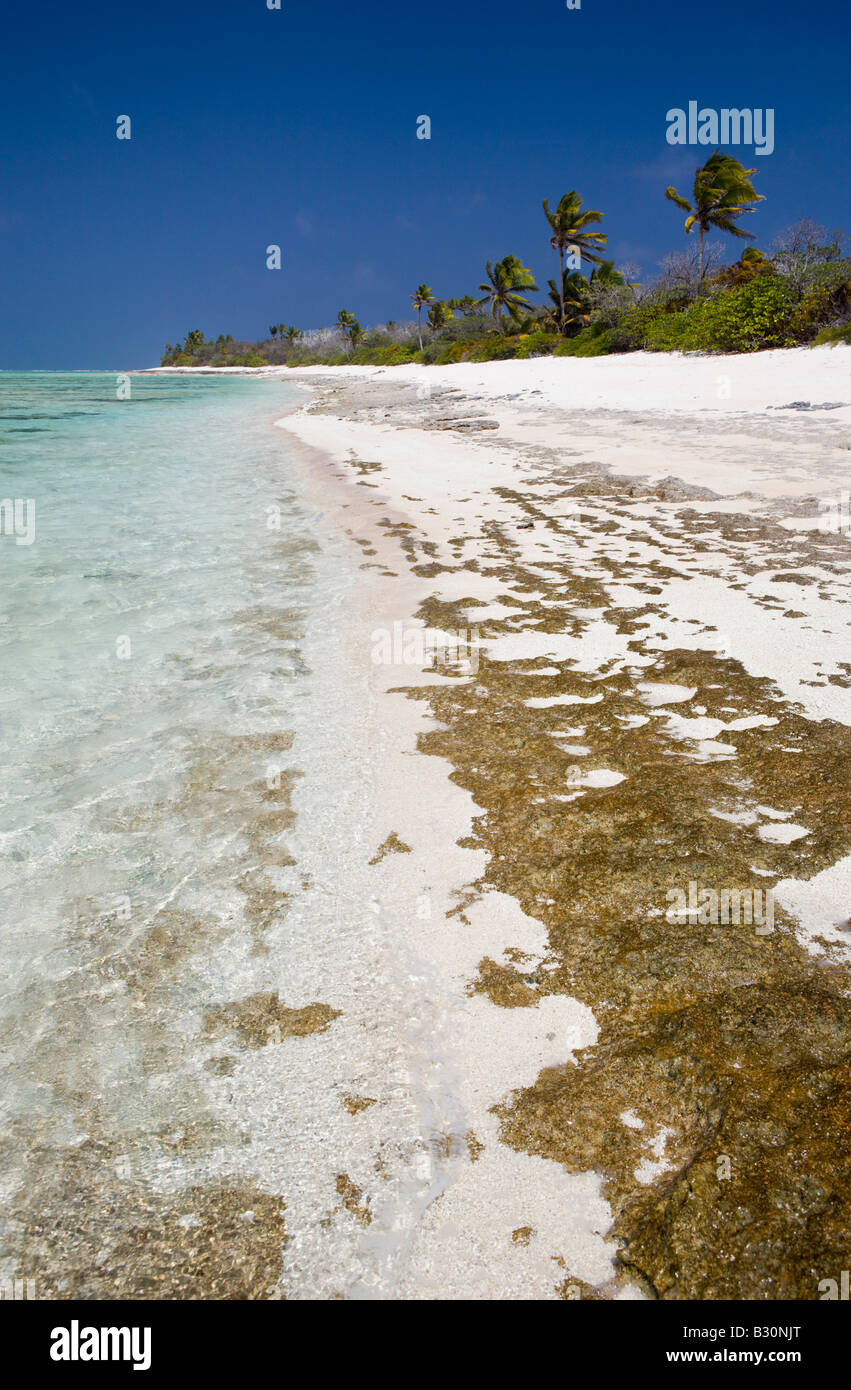 Playa de Bikini el atolón Bikini de las Islas Marshall Micronesia Océano  Pacífico Fotografía de stock - Alamy