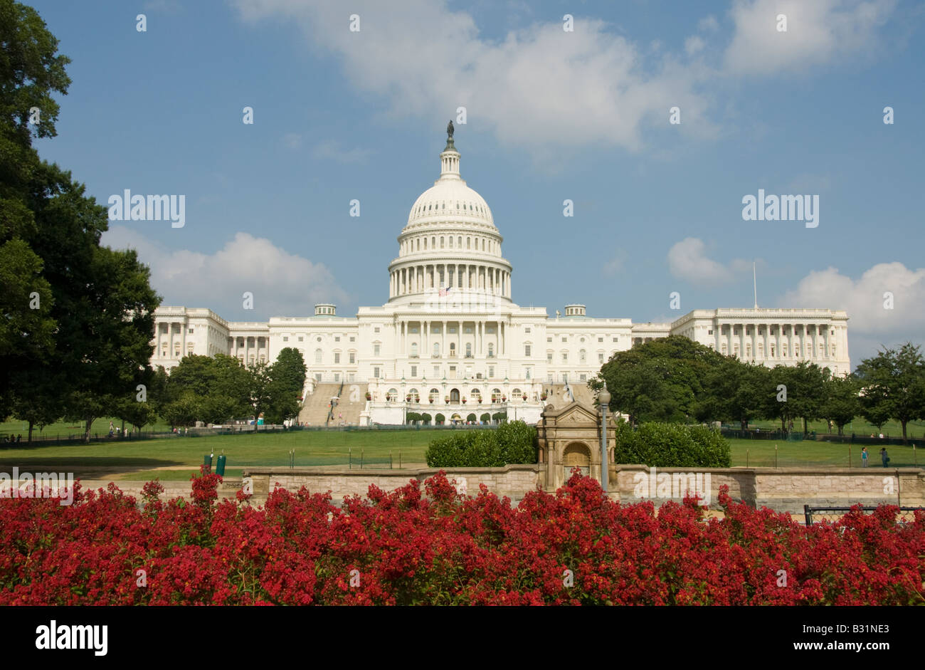 El edificio del Capitolio de los Estados Unidos, centro legislativo del gobierno de EE.UU., con flores rojas en Washington, DC. Foto de stock