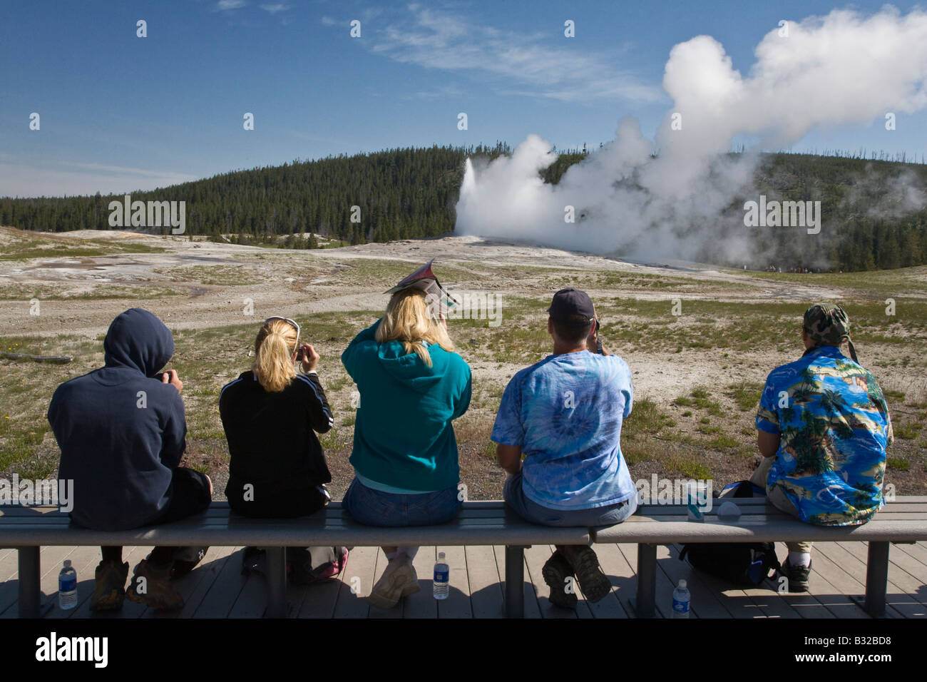 OLD Faithful Geyser erupciona hourly enviar 8 400 galones de agua hirviendo de 184 pies en el aire del Parque Nacional Yellowstone, Wyoming Foto de stock