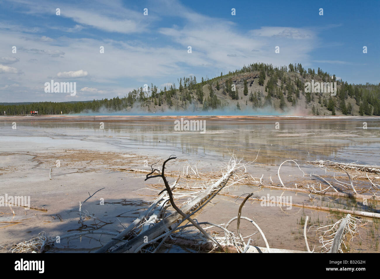 GRAND Prismatic Spring, en el Midland cuenca géiser del Parque Nacional Yellowstone, Wyoming Foto de stock