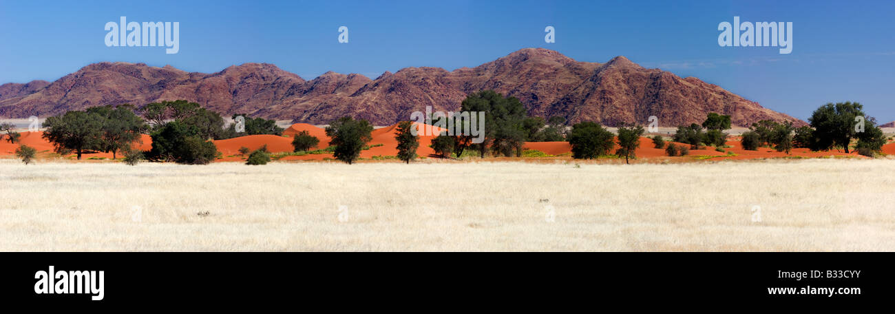 Paisaje de Namibia Foto de stock