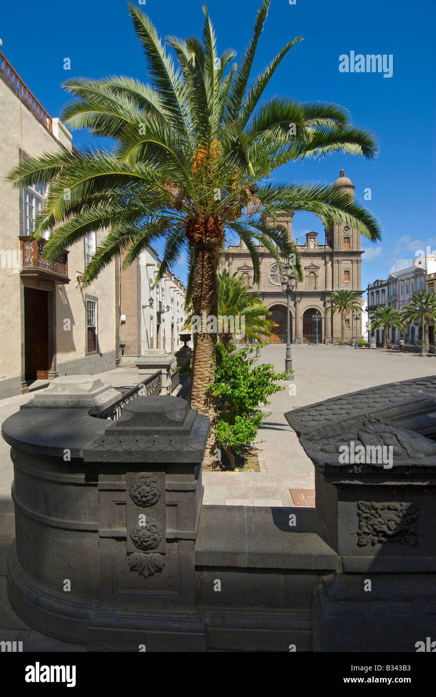 La catedral y la Plaza de Santa Ana, con típica canaria palmera en primer plano Vegueta, Las Palmas, Gran Canaria, Islas Canarias Foto de stock