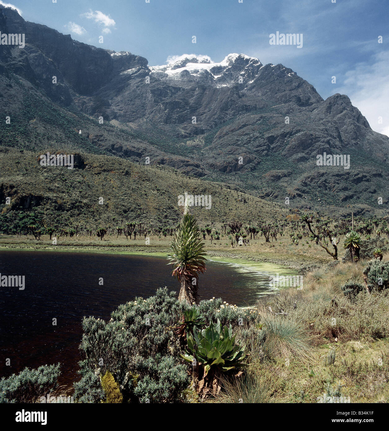 Uganda, en el oeste de Uganda, las Montañas Rwenzori. Lago Bujuku, 12. ...