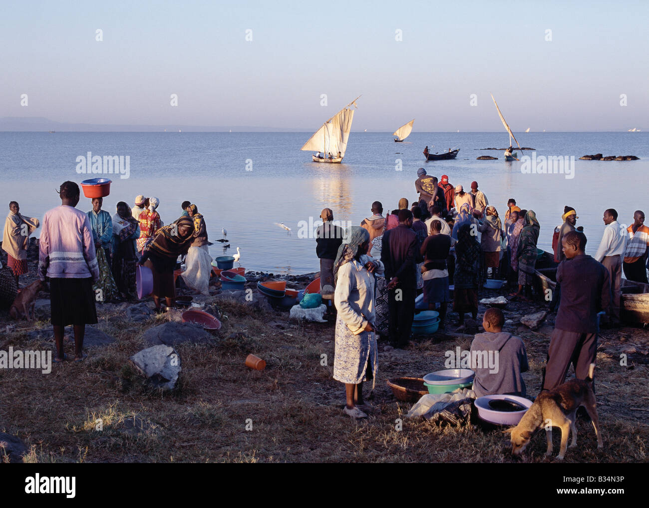 Kenya, en la provincia de Nyanza, Kisumu. Haber faenado toda la noche en  las aguas poco profundas del lago Victoria's Kavirondo cerca del Golfo de  Kisumu, los pescadores regresan a Dunga playa