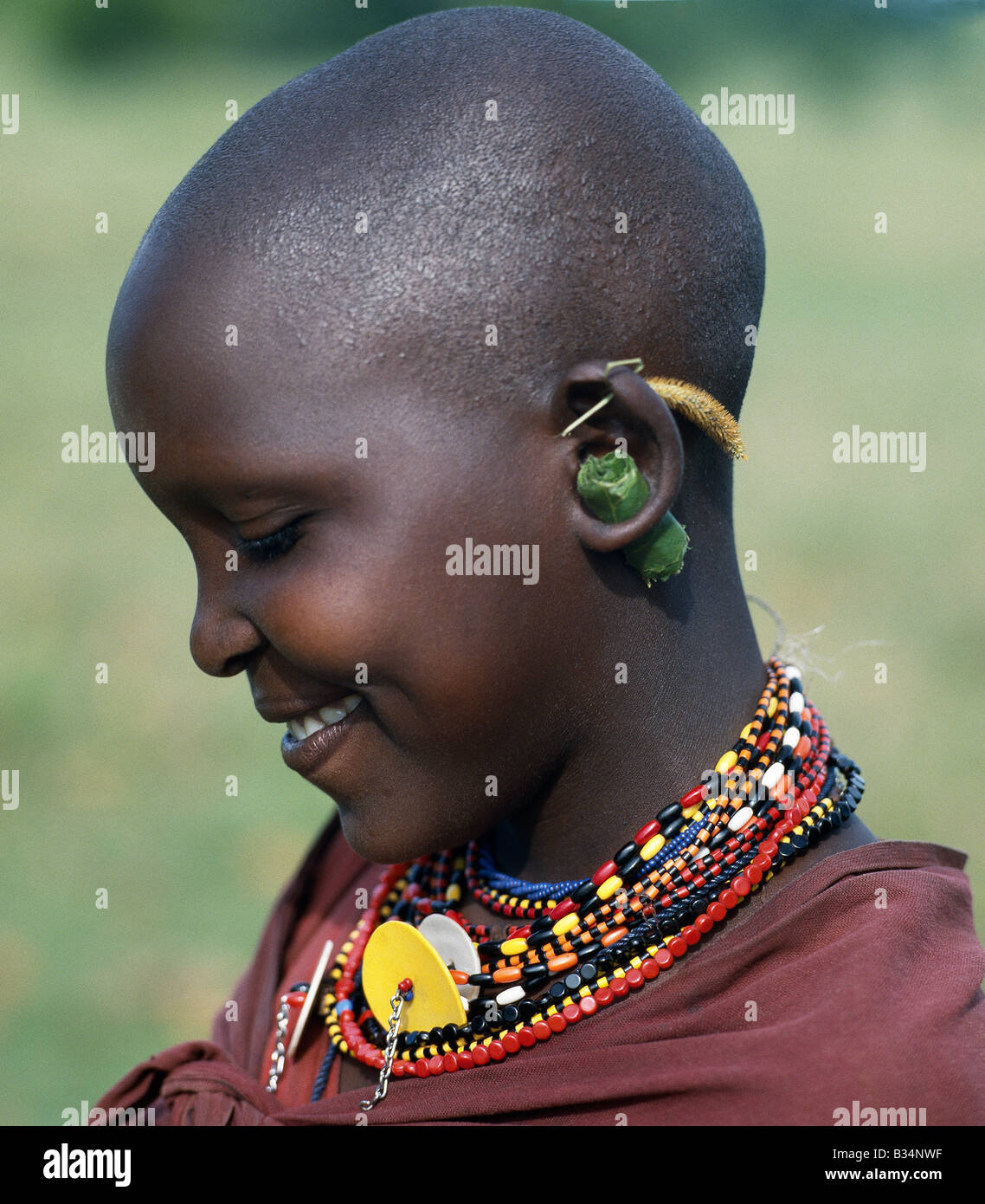 Kenya, Narok, Morijo. Un joven Masai chica mantiene los orificios perforados en sus oídos de cierre con hierba y hojas laminadas. Foto de stock