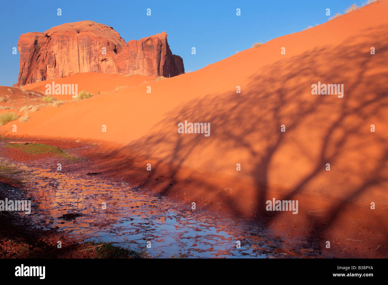 Sand Springs en Monument Valley, bajo la sombra de un árbol cercano Foto de stock