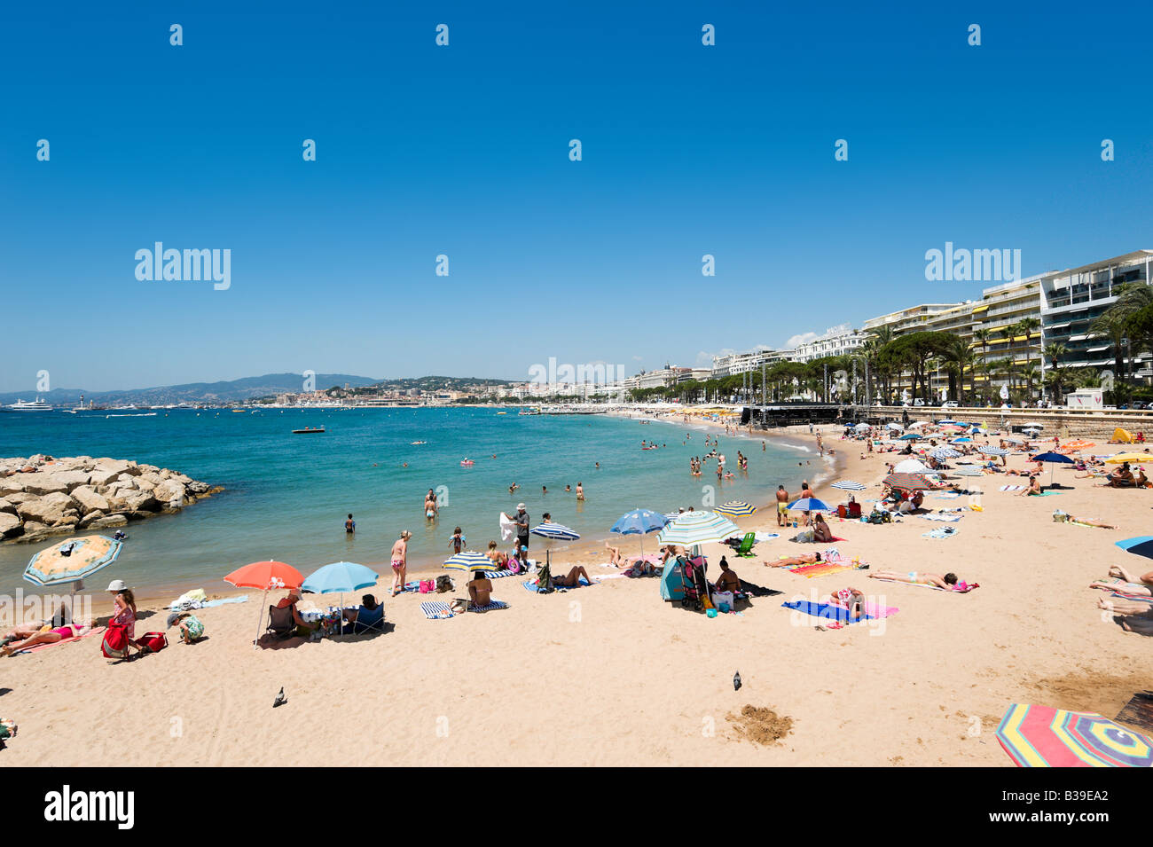 Plage de la Croisette (La Croisette Beach), Cannes, Cote d'Azur, Provenza, Francia Foto de stock