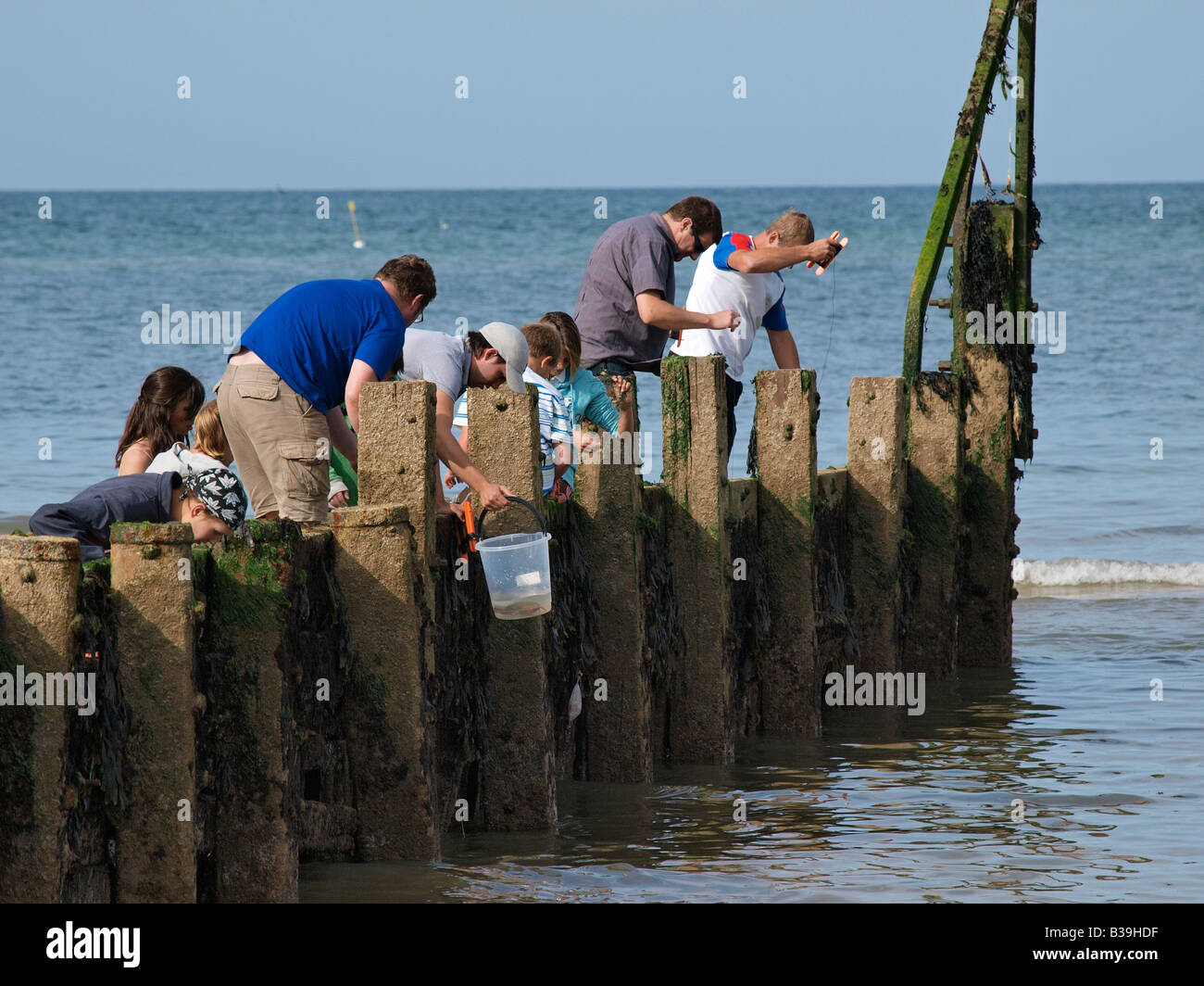 Familias en busca de cangrejos en cromer playa del espigón norfolk Inglaterra Foto de stock