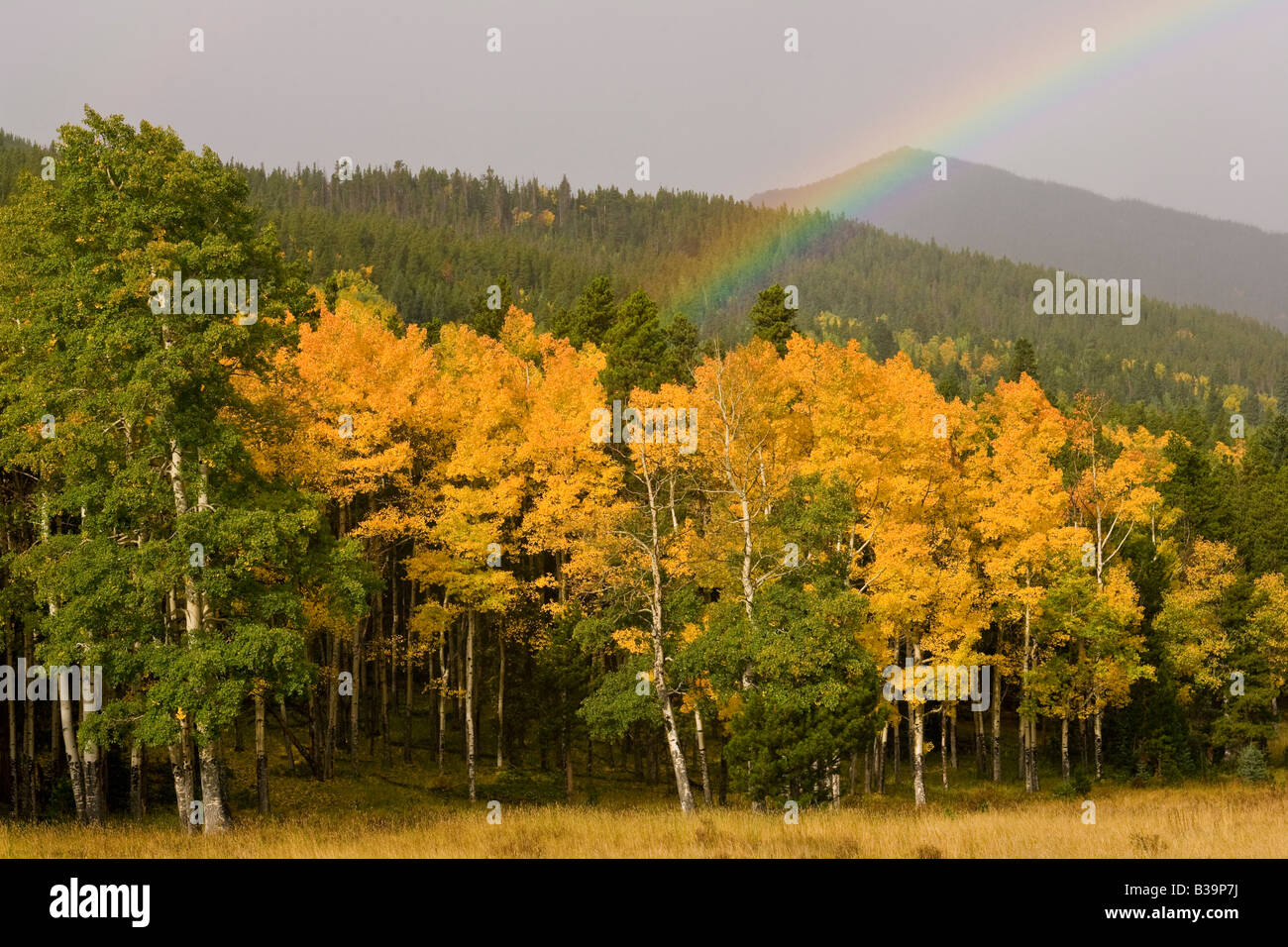 Olla de Oro al final del arco iris en herradura Park, el Parque Nacional de las Montañas Rocosas Foto de stock