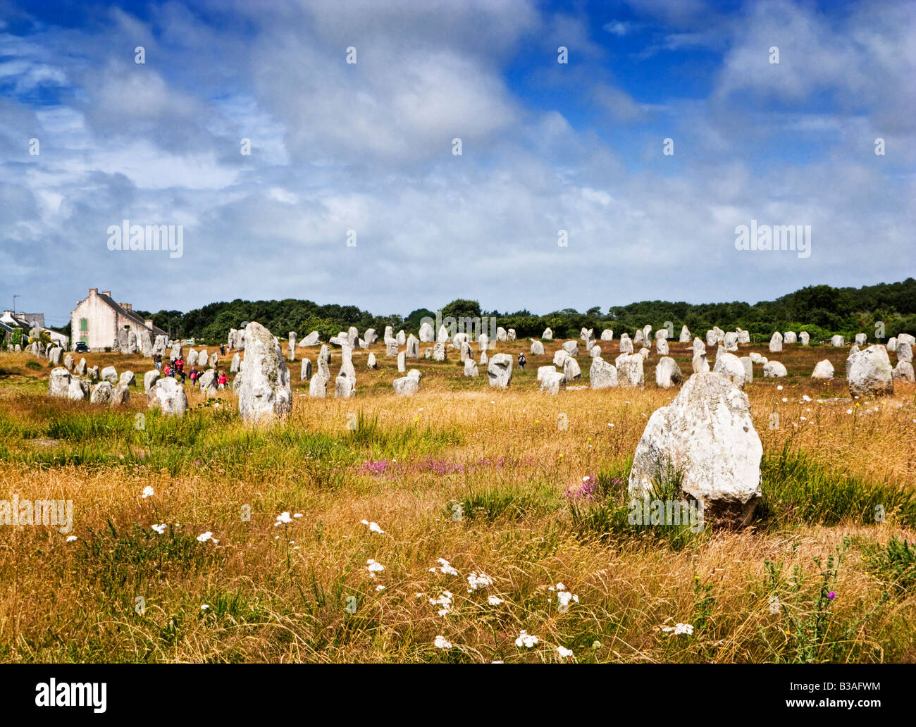 Menec Alignements du Standing Stones en Carnac Morbihan Bretaña Francia Europa Foto de stock
