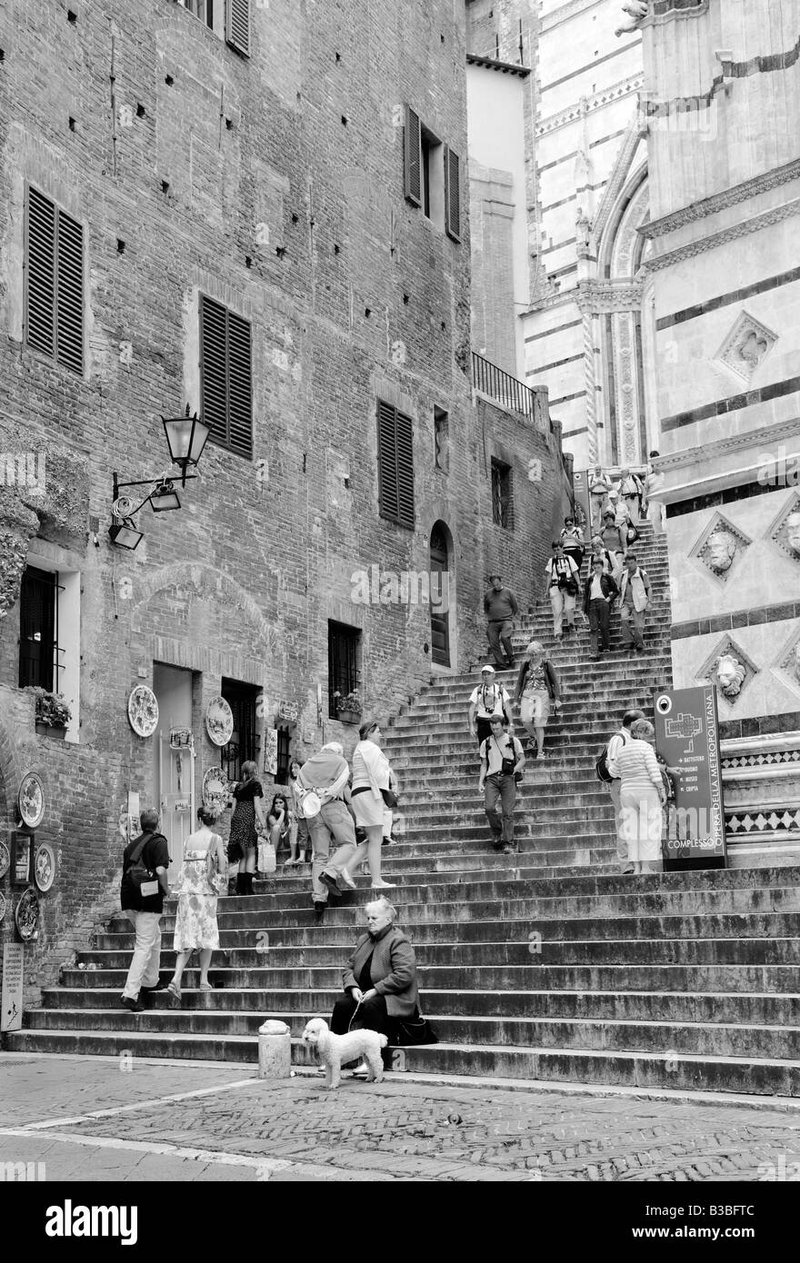 Los visitantes en Siena, Toscana, Italia Foto de stock
