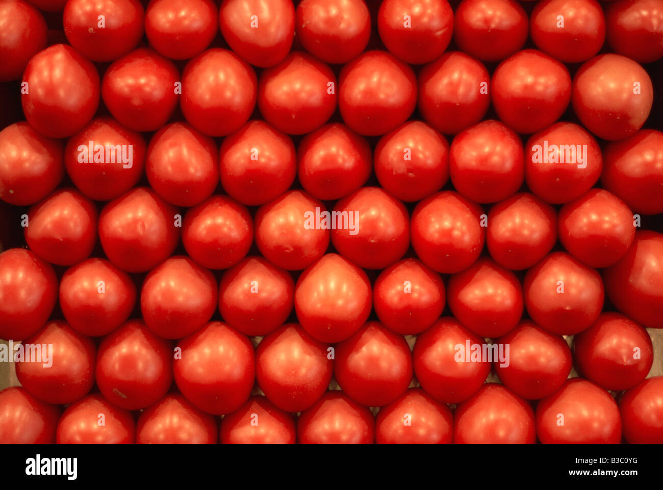 Los tomates cerrar Foto de stock