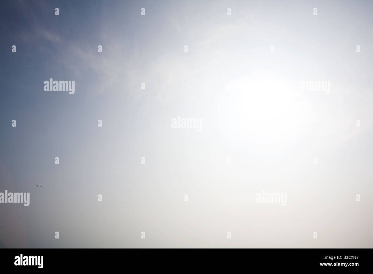 Cielo, bajo ángulo de visión Foto de stock