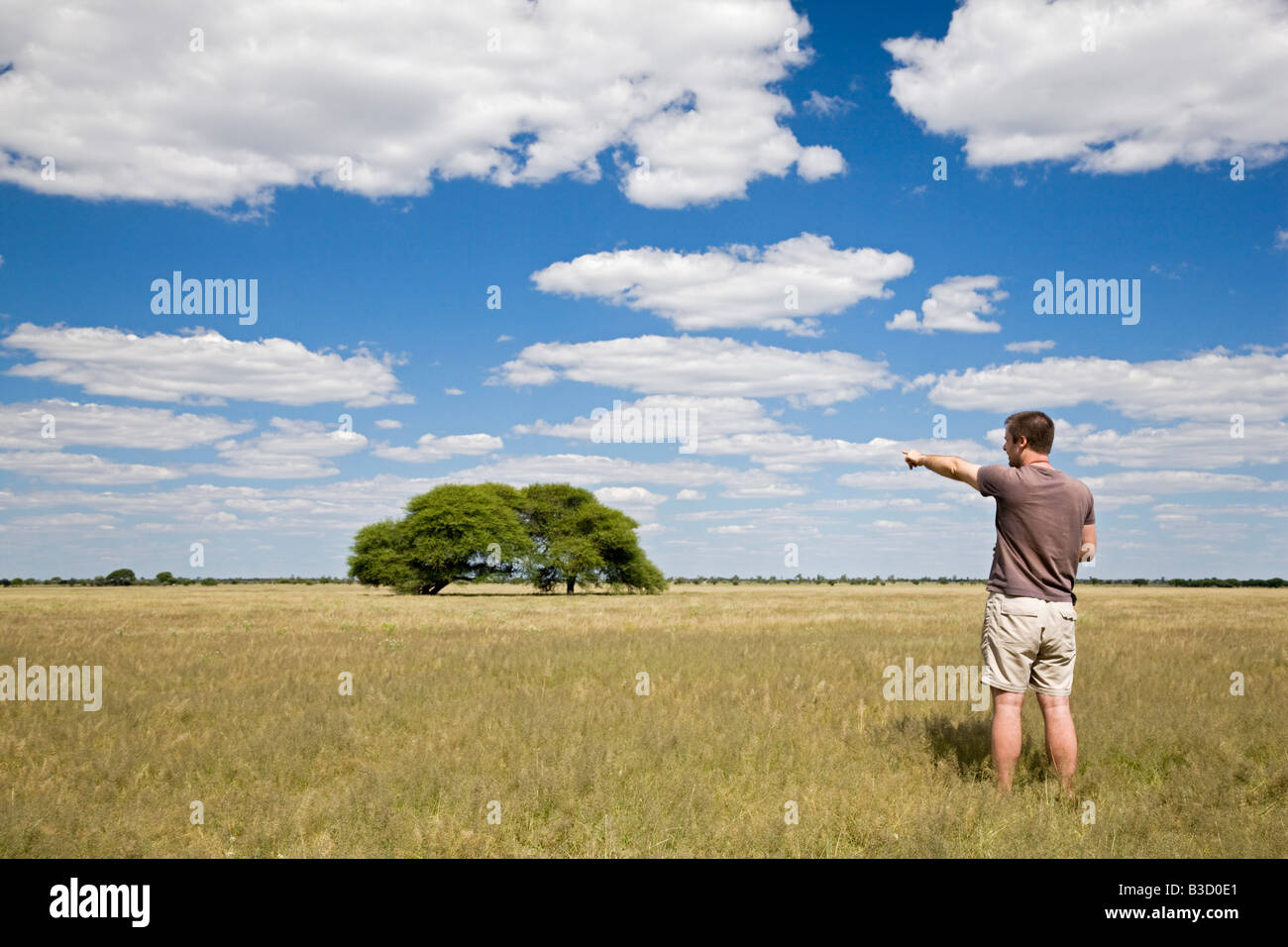 África, Botswana, turista mirando el paisaje Foto de stock