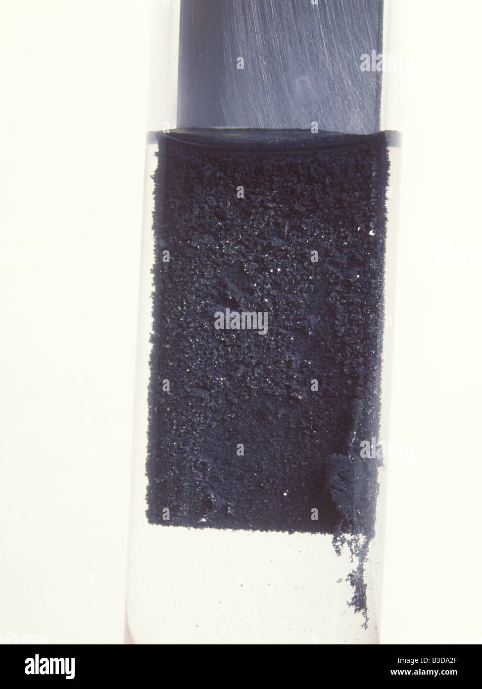 Las dendritas de plomo se forman cuando una tira de zinc se coloca en una solución de nitrato de plomo y desplaza el plomo Foto de stock