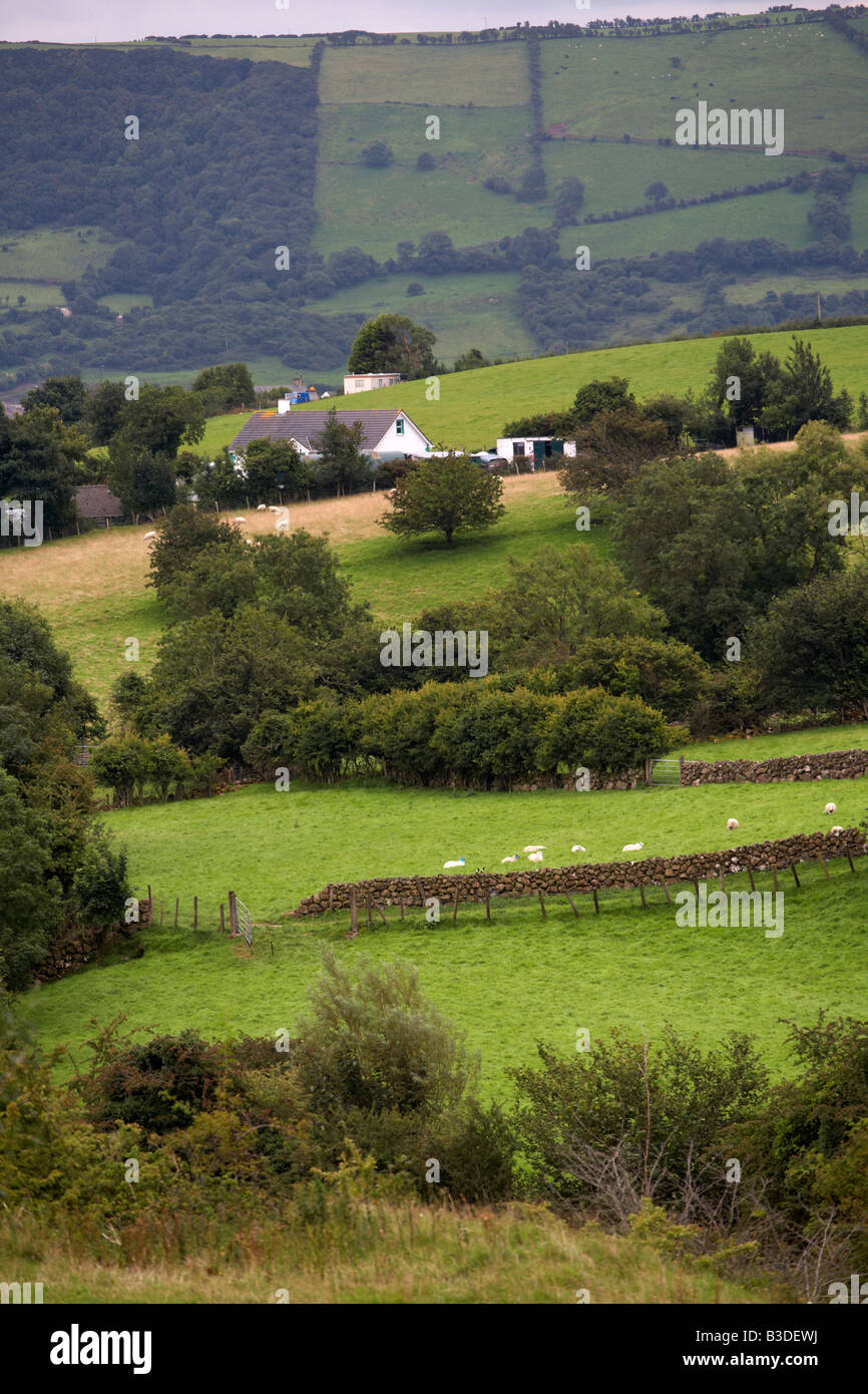 Colina rural hacienda de ovejas en cañadas del condado de Antrim cerca carnlough IRLANDA DEL NORTE Foto de stock