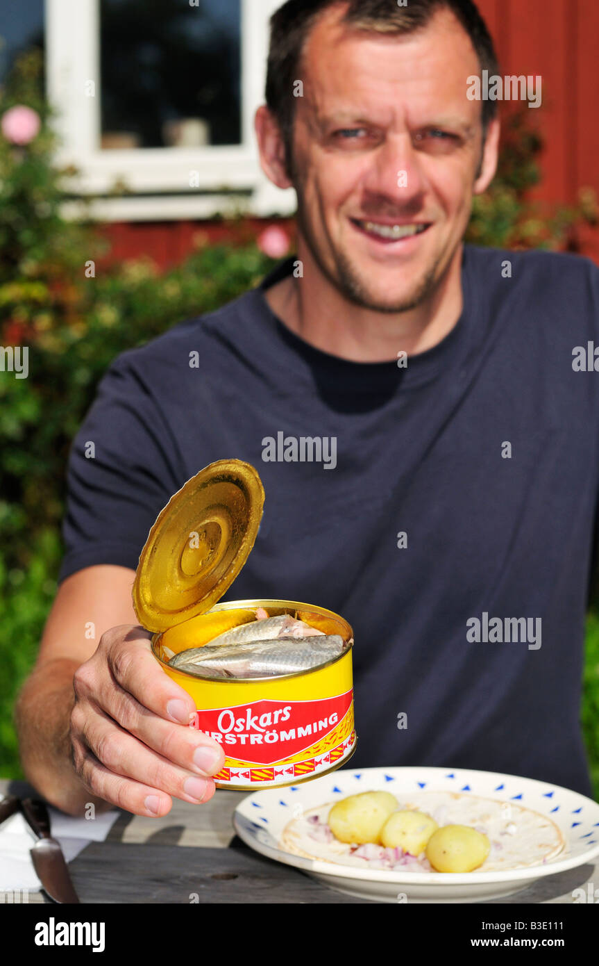 Lata abierta de Surströmming en salazón con la cebolleta Fotografía de  stock - Alamy