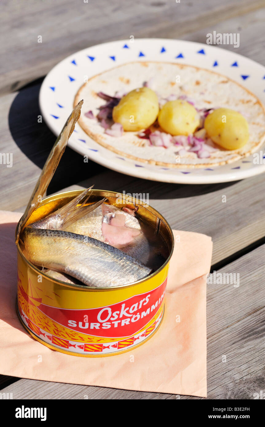 Lata abierta de Surströmming en salazón con la cebolleta Fotografía de  stock - Alamy