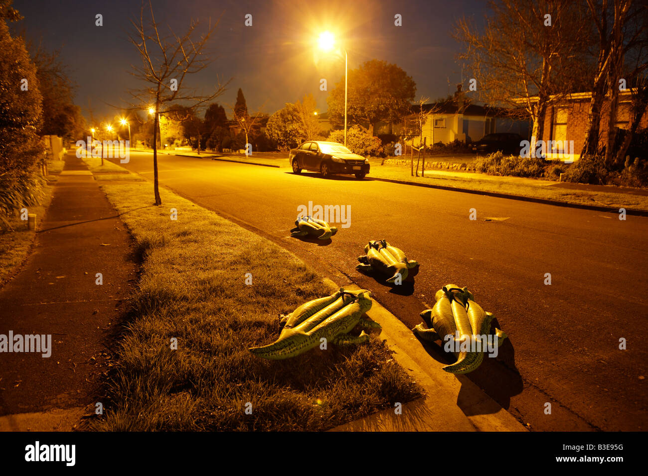 Serie de cocodrilo inflable Suburbia Fotografía de stock - Alamy