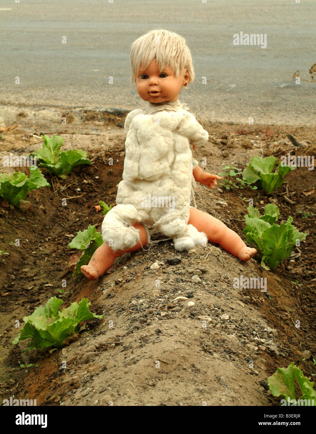 Un espantajo de la muñeca de un niño Foto de stock