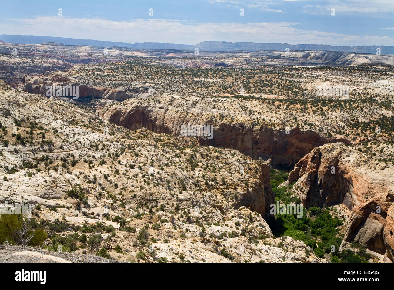 Escalante Utah ternero Creek Canyon en Grand Staircase Escalante National Monument Foto de stock