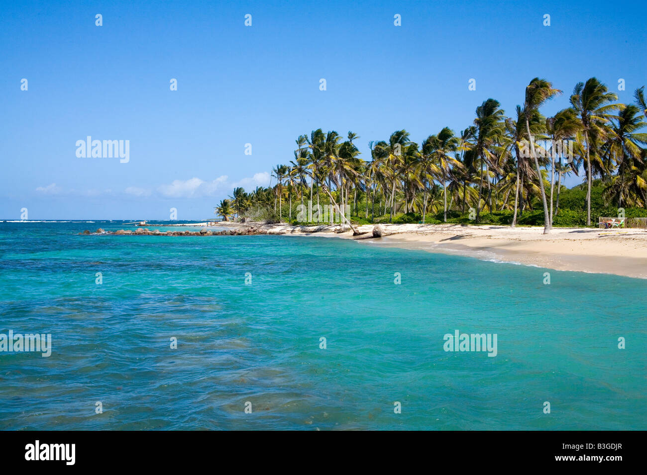 Impresionante playa con cocoteros en Nevis Caribe Foto de stock