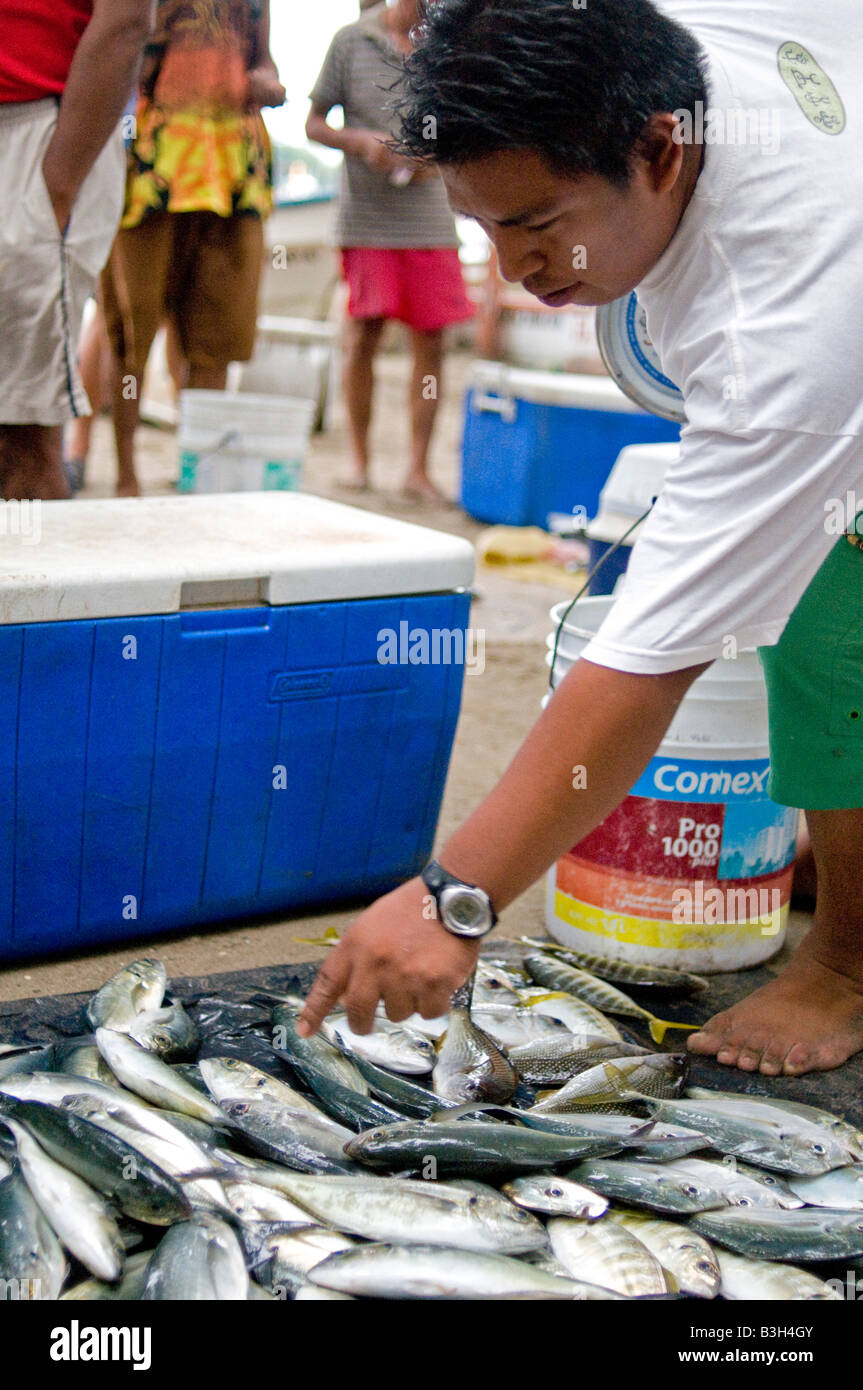 ZIHUATANEJO, México - El mercado de pescado de la Playa Principal,  Zihuatanejo, México. Cuando los pescadores locales volver sobre el alba,  que venden sus capturas en un mercado de pescado en la