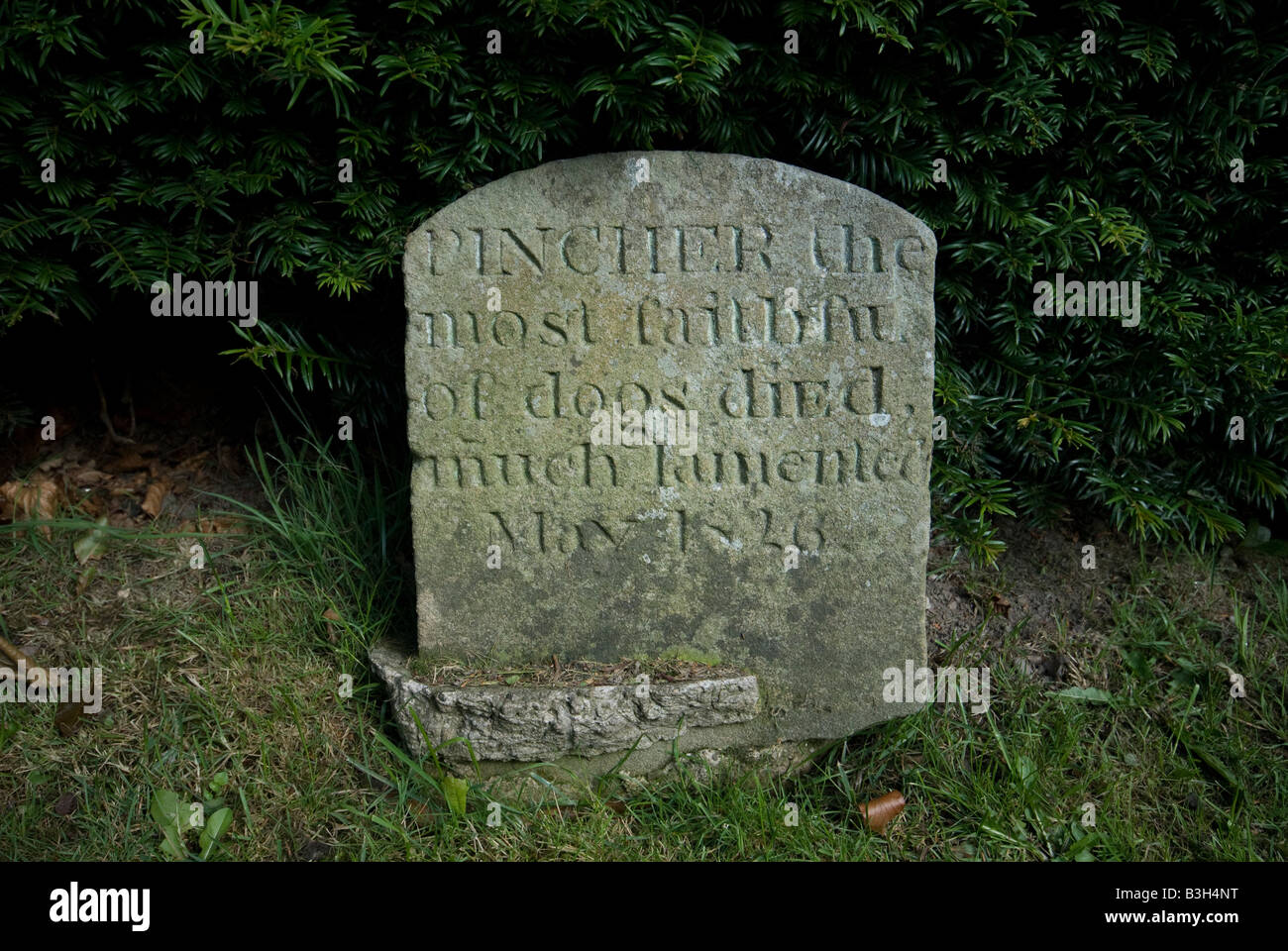 Tumba de perros fotografías e imágenes de alta resolución Alamy