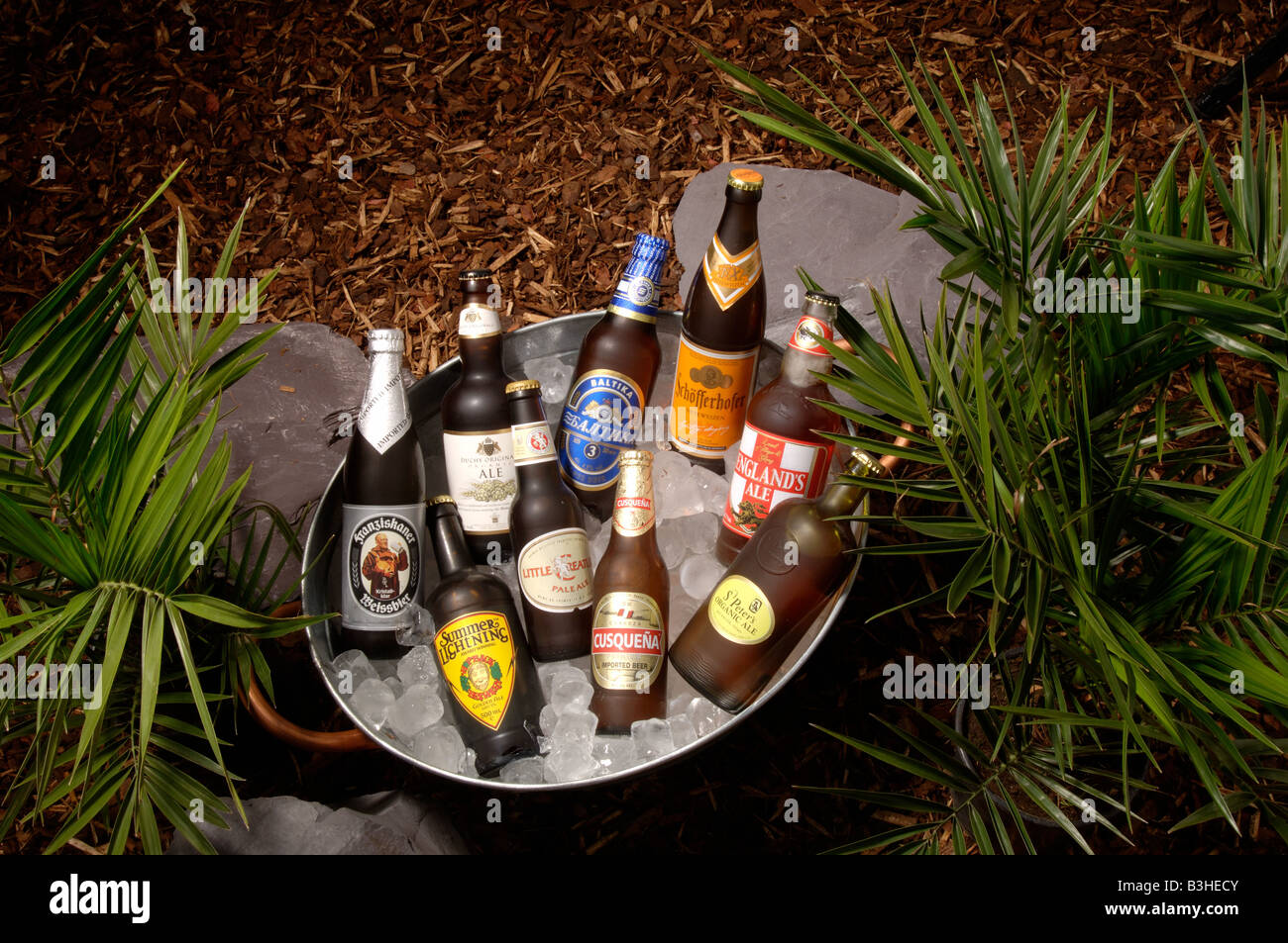 Cerveza en cubeta de hielo Fotografía de stock - Alamy
