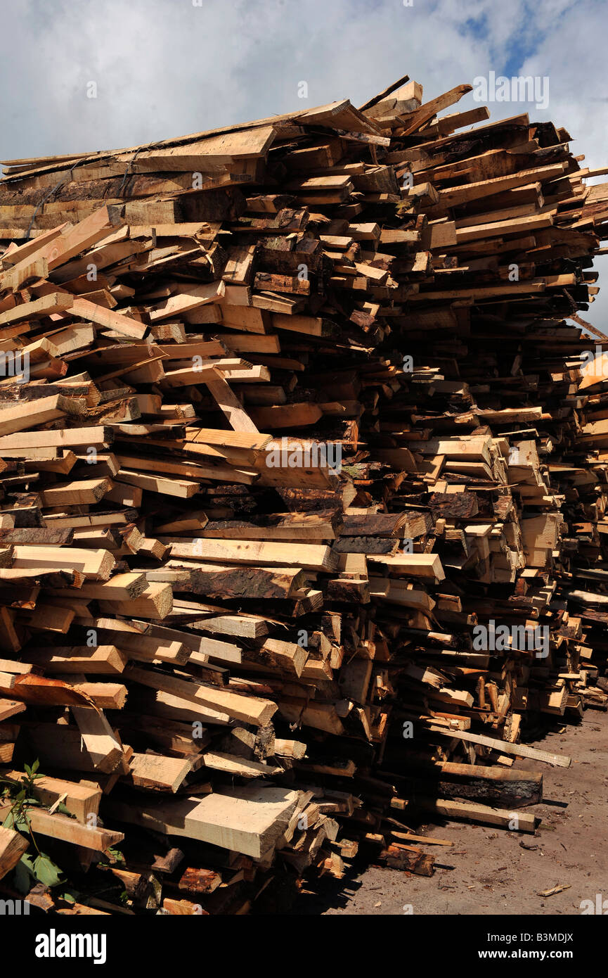 En un montón de madera de desecho Foto de stock
