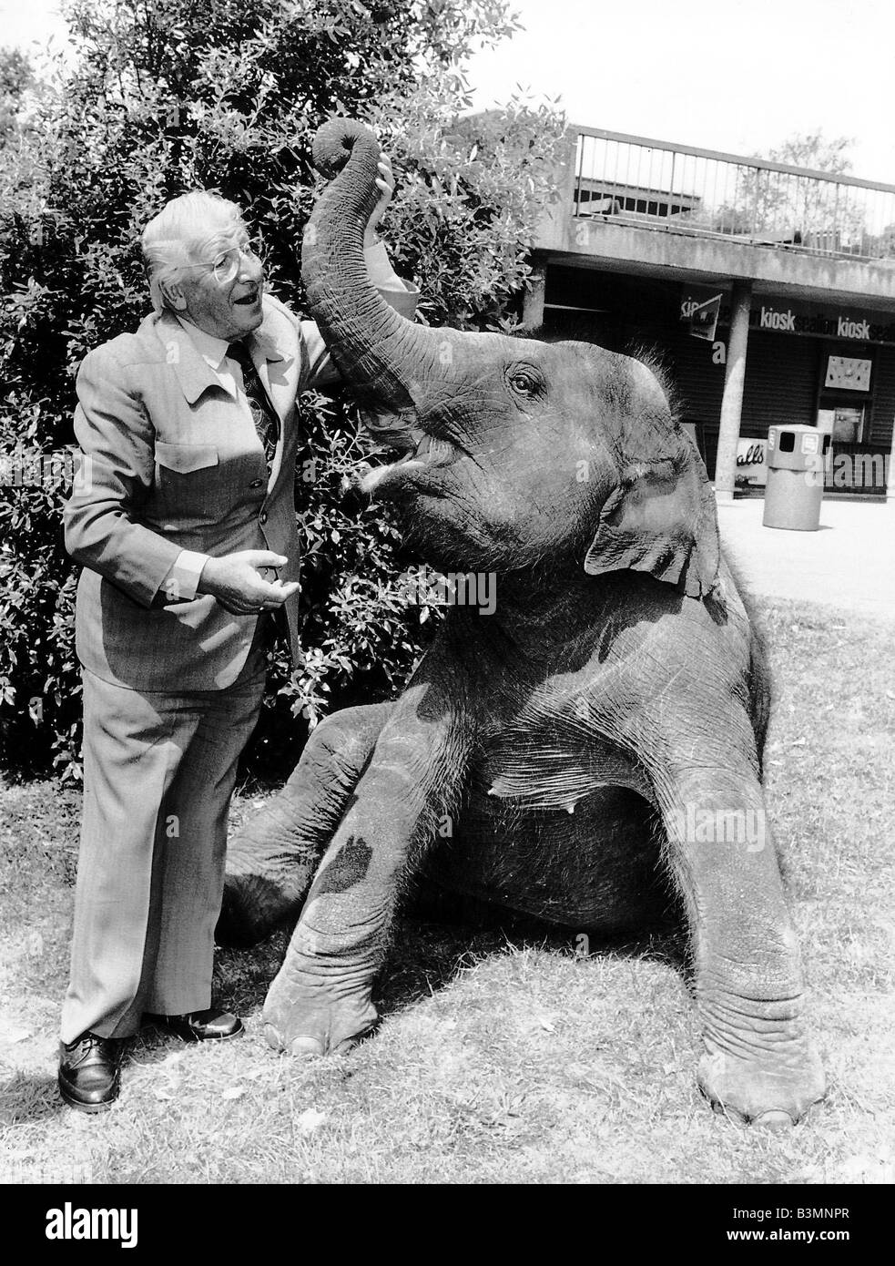 Johnny Morris presentador de televisión de programas con animales Layang el elefante en un parque animal Foto de stock