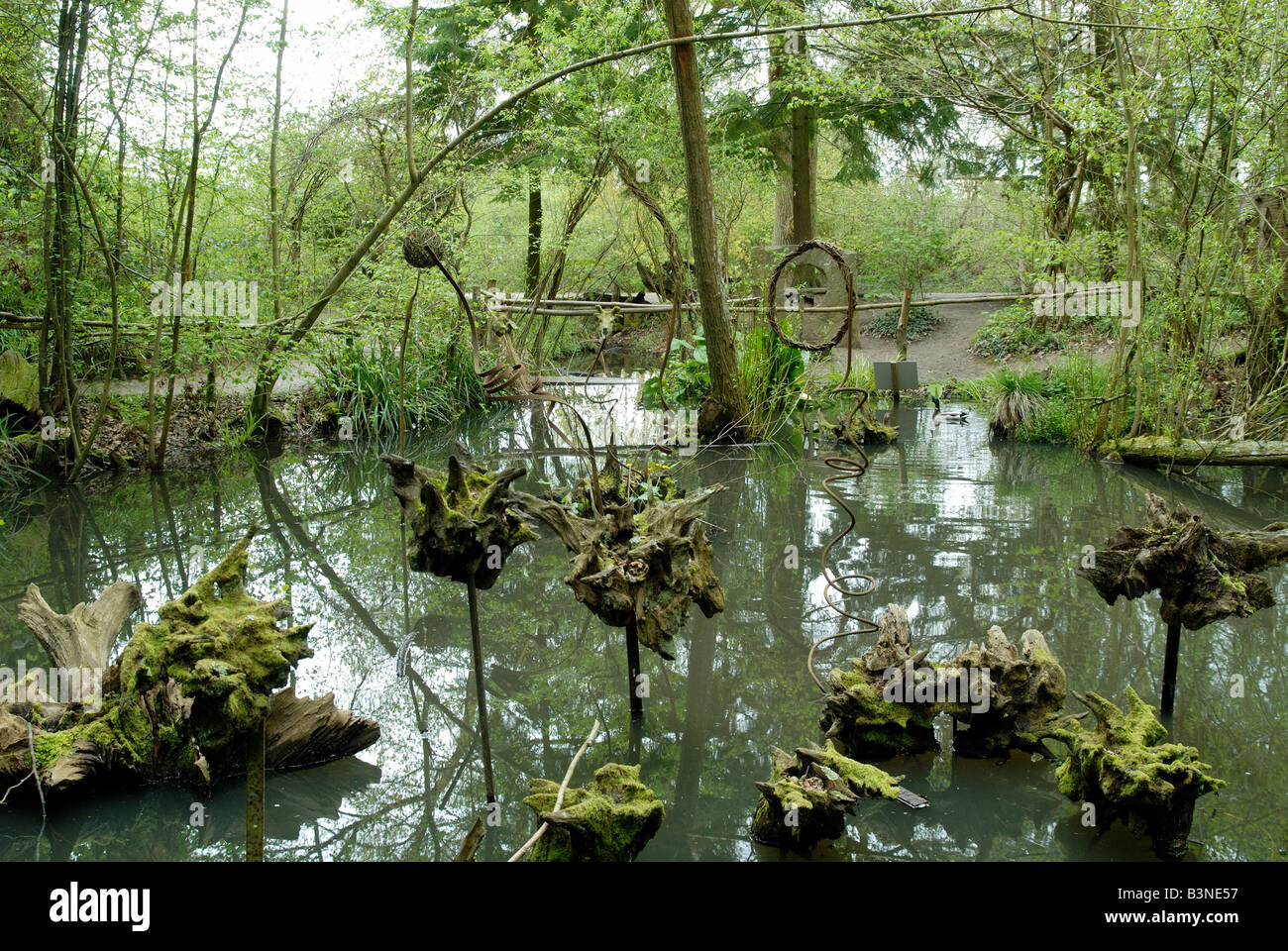 Un estanque en el bosque encantado en Groombridge Place, Kent Foto de stock
