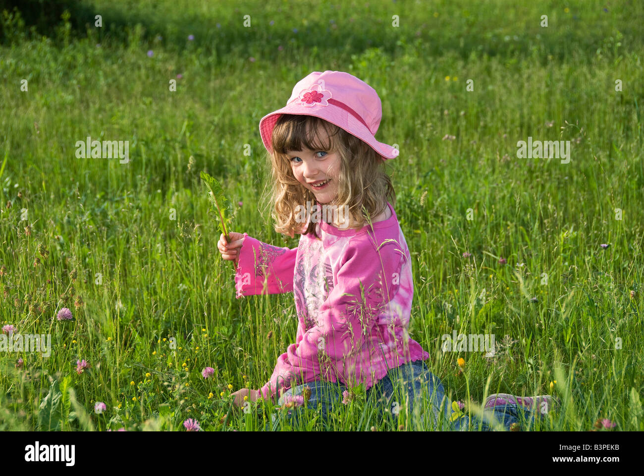 6-year-old girl recogiendo flores en un campo, Austria, Europa Foto de stock