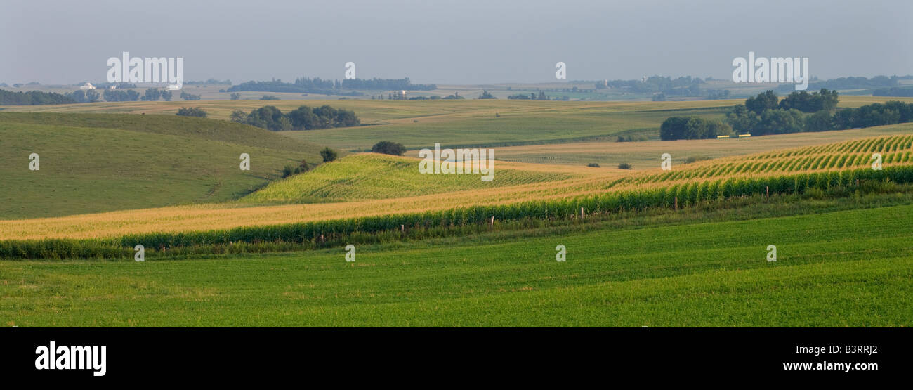 Los campos de granja, el condado de Winneshiek, Iowa Foto de stock
