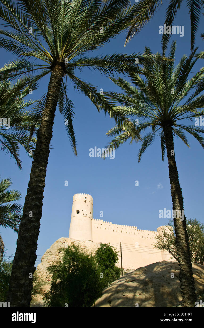 Omán, Western montañas Hajar, Nakhl. Fecha Vista Palm Oasis de Nakhl Fort Foto de stock