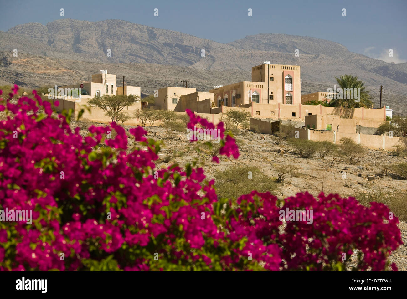 Omán, montañas Hajar occidentales, Al Hamra. Edificios de la ciudad Foto de stock