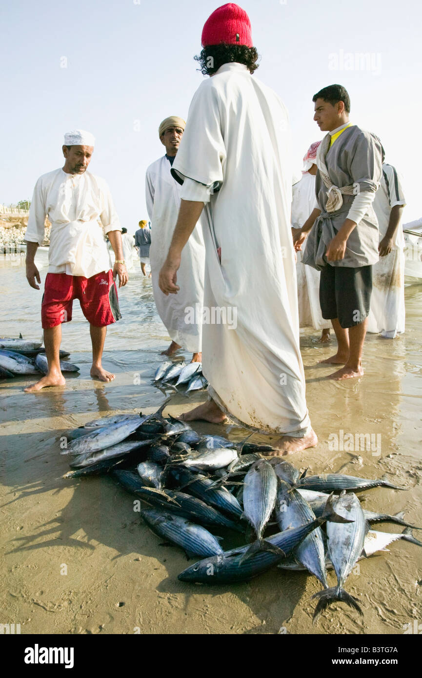 Omán, Sharqiya, región sur. Los pescadores en Sur Corniche (NR) / mañana Foto de stock