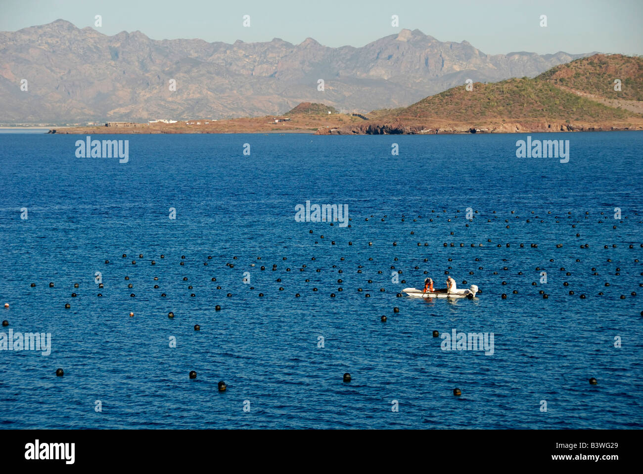 Guaymas fotografías e imágenes de alta resolución - Página 3 - Alamy Guaymas fotografías e imágenes de alta resolución - Página 3 - Alamy