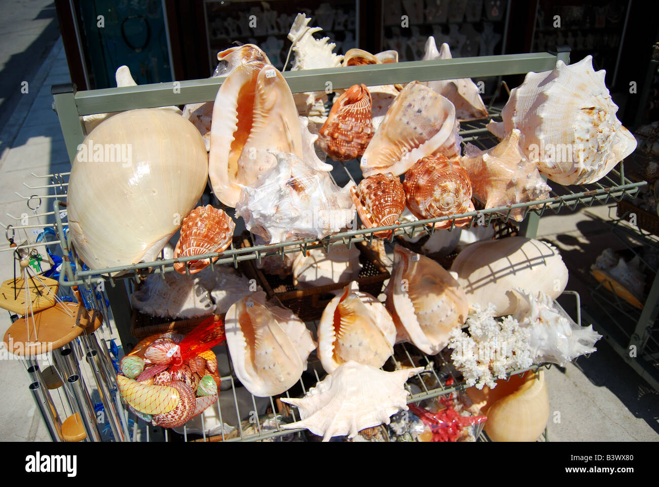 Conchas de Mar para la venta, Ouranoupoli, península de Athos, Chalkidiki, Macedonia Central, Macedonia, Grecia Foto de stock