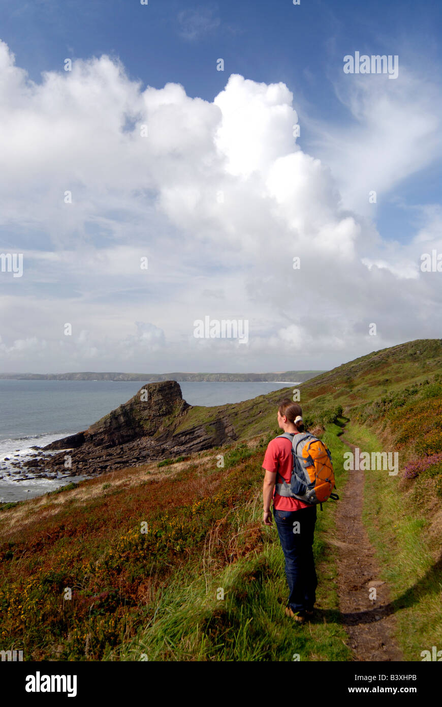 Walker en la ruta de la costa de Pembrokeshire Newgale nr Foto de stock