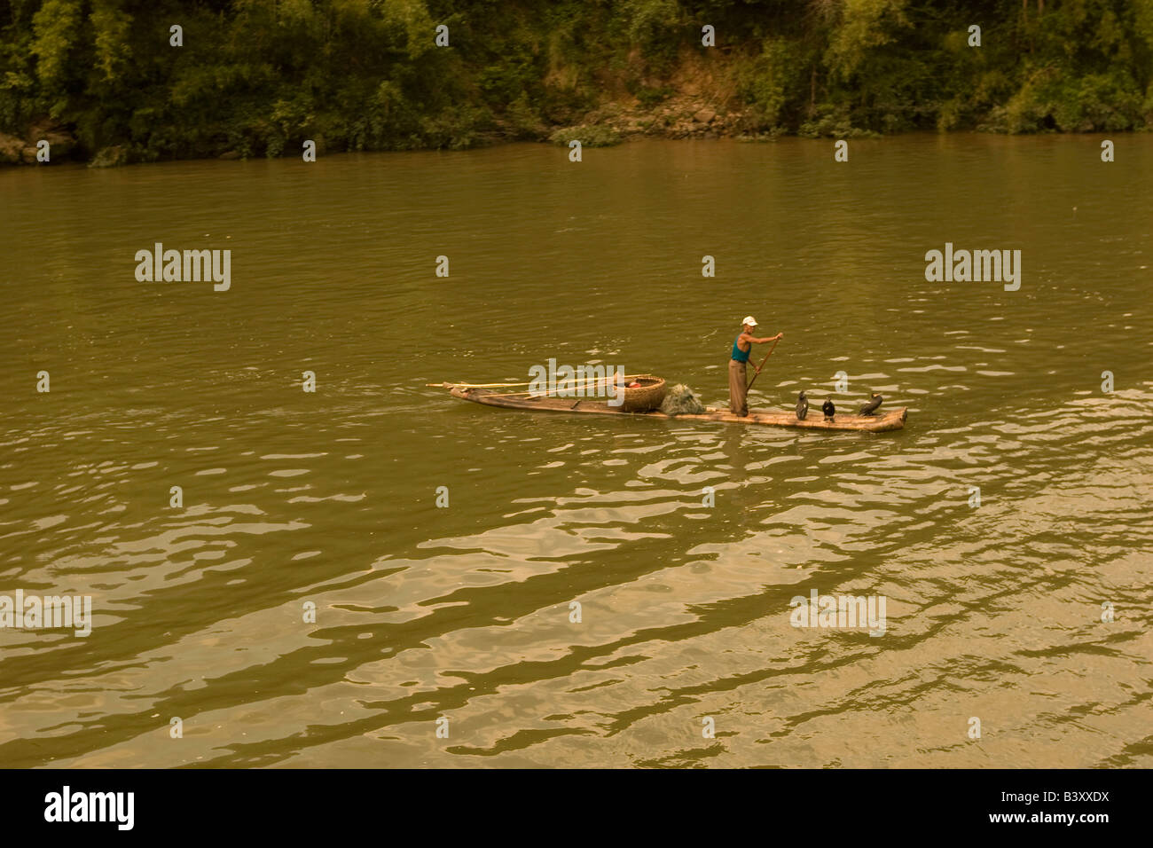 Río Li serpentea entre colinas de piedra caliza y bosques de bambú entre Guilin y Yangshuo en Guangxi, China Cormorán Pescador Foto de stock