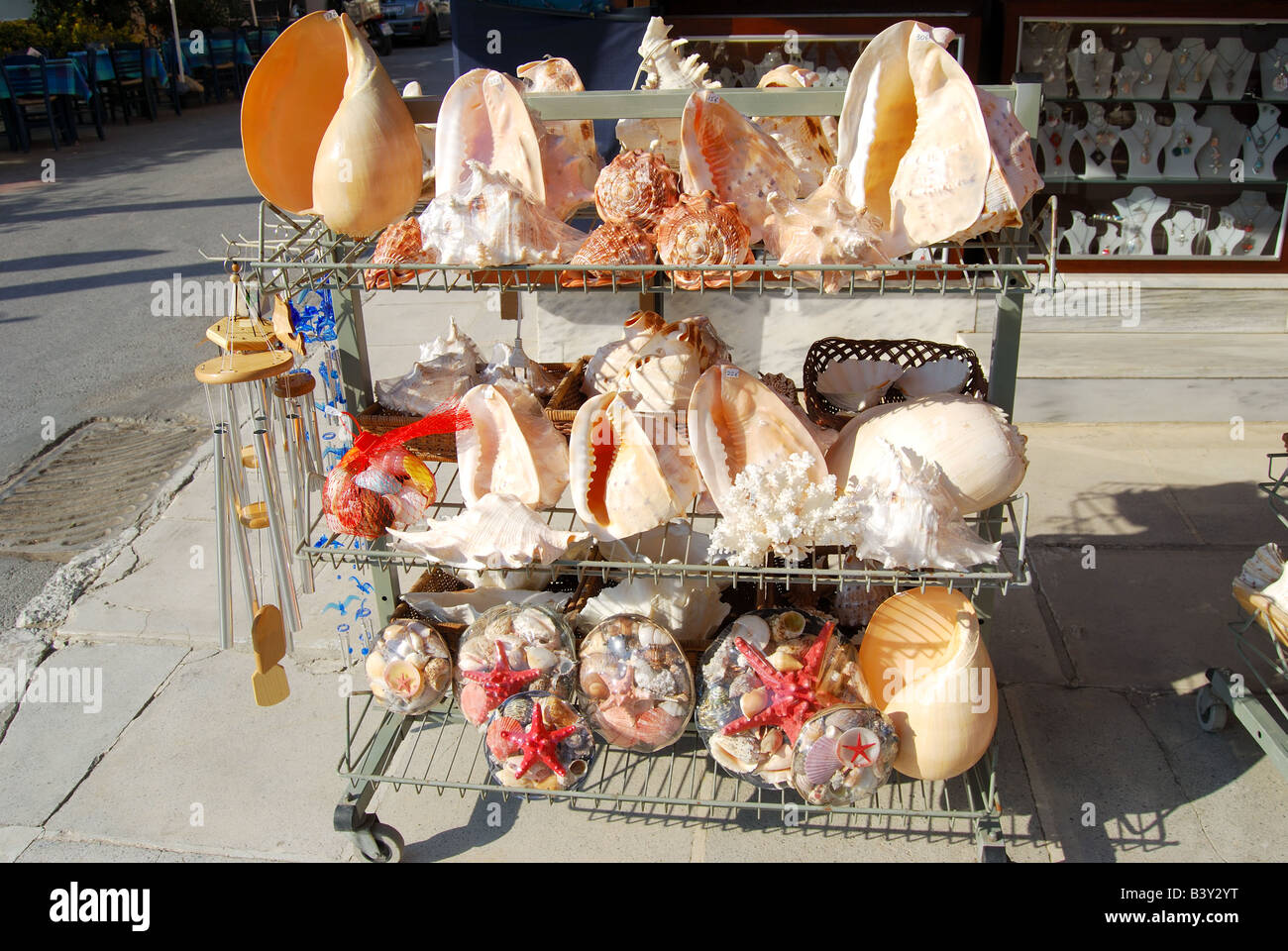 Conchas de Mar para la venta, Ouranoupoli, península de Athos, Chalkidiki, Macedonia Central, Macedonia, Grecia Foto de stock