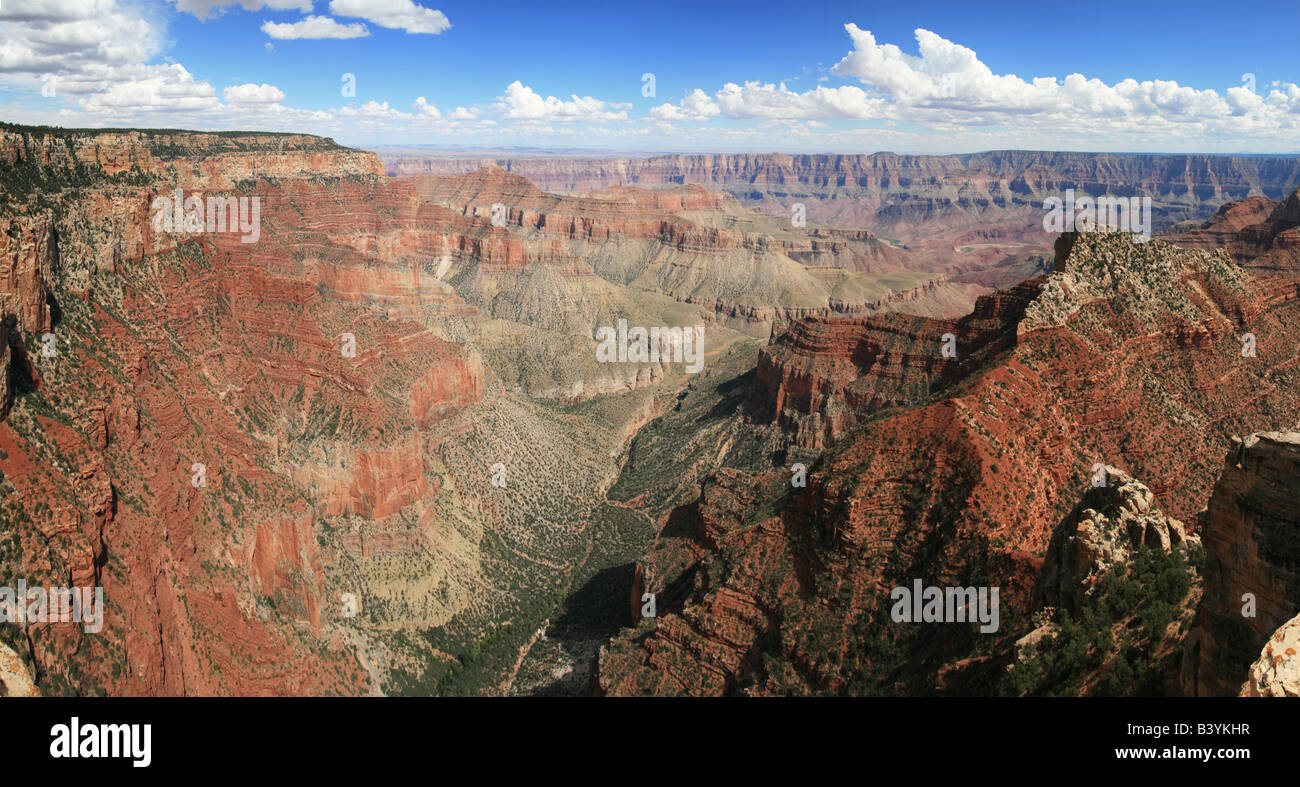 Panorama del Gran Cañón del extremo norte de Walhalla vistas Foto de stock