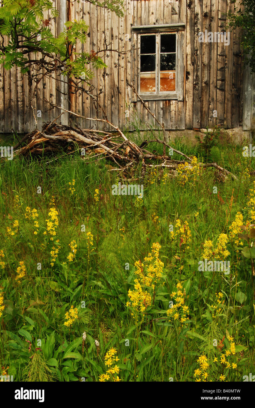 Antigua casa de madera, Klippen, Vasterbottenslan, la Laponia sueca, Suecia. Foto de stock