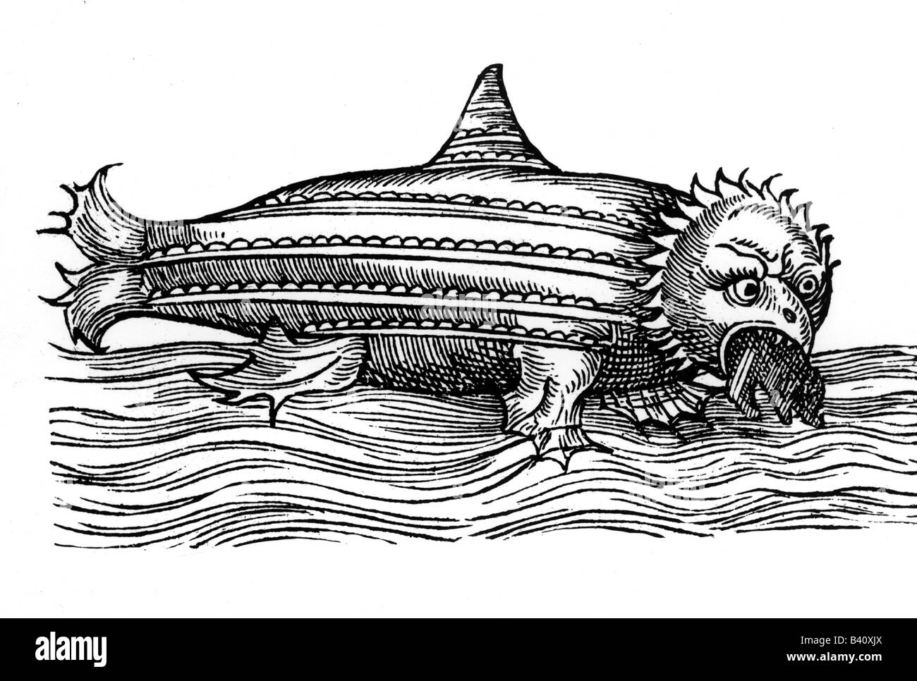 Monstruo marino Imágenes recortadas de stock - Alamy
