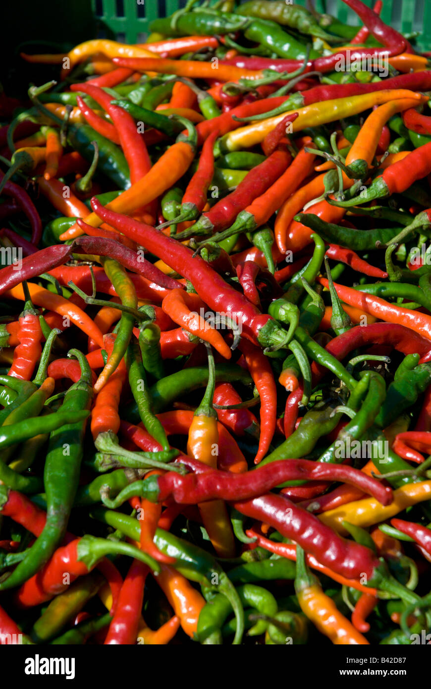 Caja de rojo, amarillo y pimientos verdes sentado en una mesa en el Sábado en el mercado del agricultor. Foto de stock