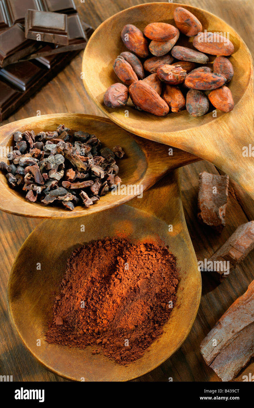 Formsof diferentes cacao en cucharas de madera Foto de stock