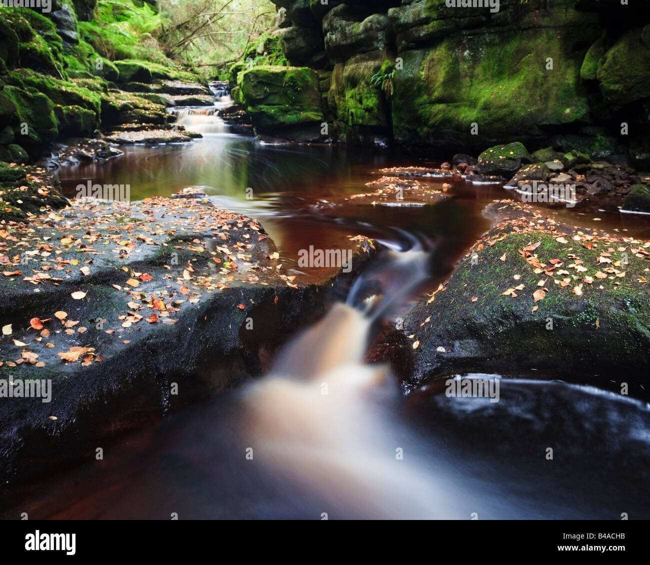 Smales Redesdale Salto cascada en el área del Parque Nacional de Northumberland, Inglaterra Foto de stock
