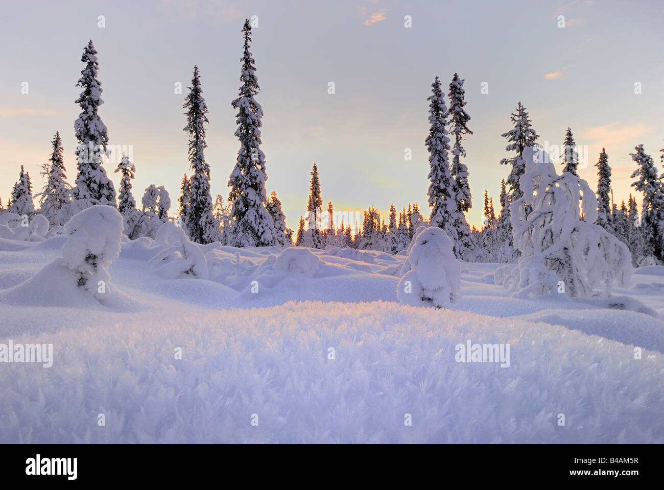 Amanecer en Norrbotten Laponia Suecia Foto de stock